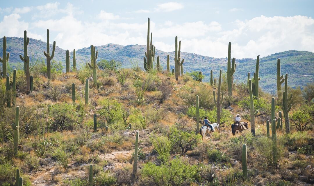 Tanque Verde Ranch, AZExpedition 1