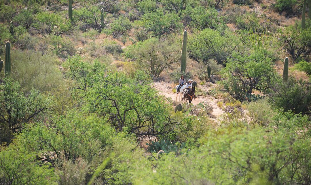 Tanque Verde Ranch, AZExpedition 1