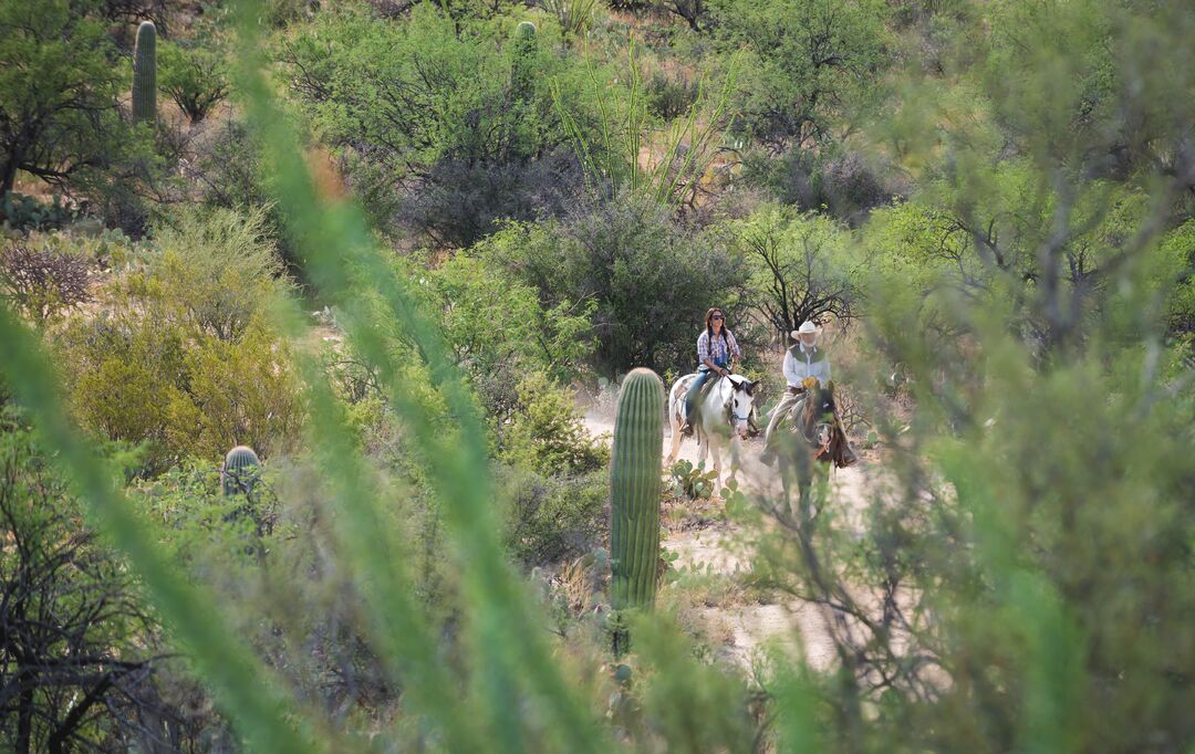 Tanque Verde Ranch, AZExpedition 1