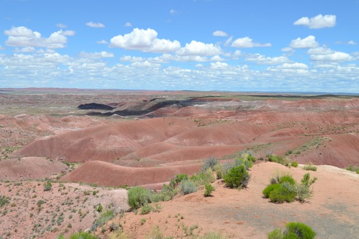 Painted Desert National Park