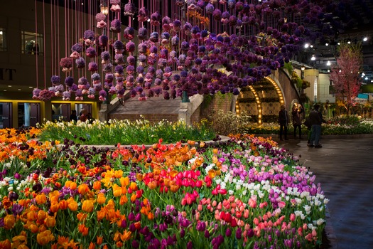 PHS Philadelphia Flower Show