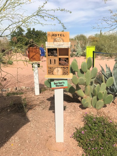 Desert Botanical Garden