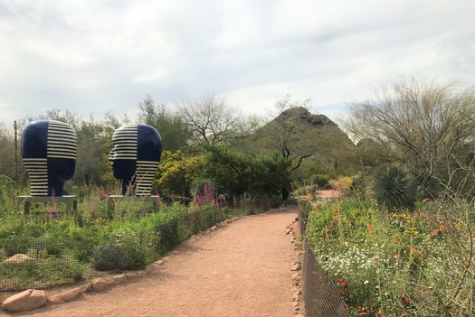 Desert Botanical Garden