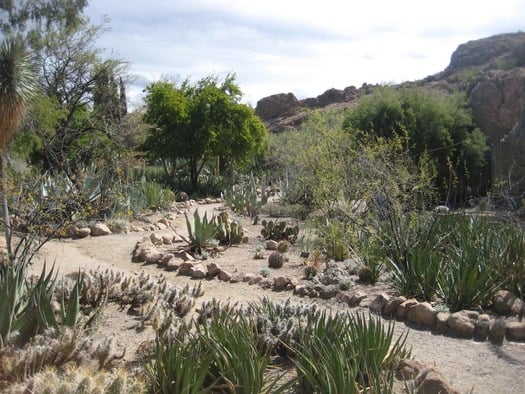 Boyce Thompson Arboretum