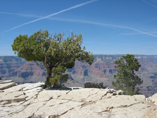 Grand Canyon Desert View