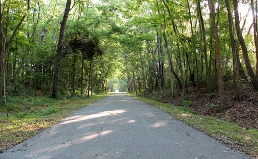 GNT Canopy Trail 3