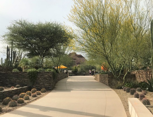 Desert Botanical Garden