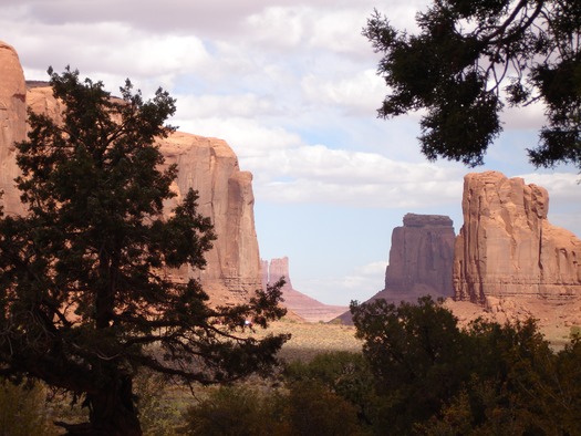 Monument Valley with Trees