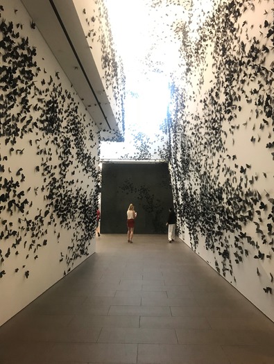 Phoenix Art Museum