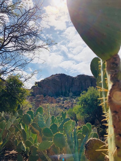 Boyce Thompson Arboretum