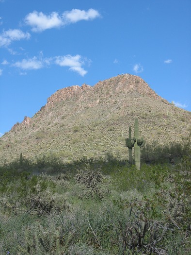 Thunderbird Conservation Park