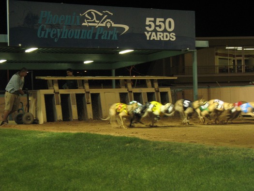 Phoenix Greyhound Park