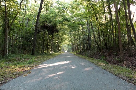 GNT Canopy Trail 1