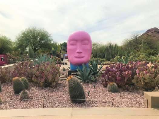 Desert Botanical Garden