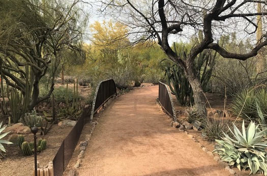 Desert Botanical Garden