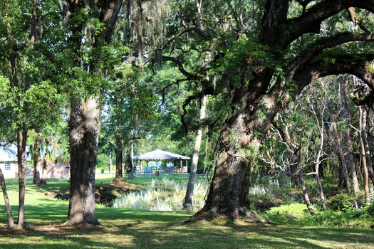 GNT Trailhead Gazebo from tree 2