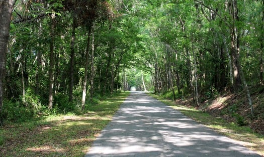 GNT Canopy Trail 4