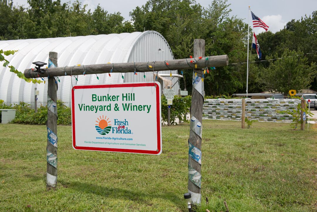 Bunker Hill Vineyard and Winery