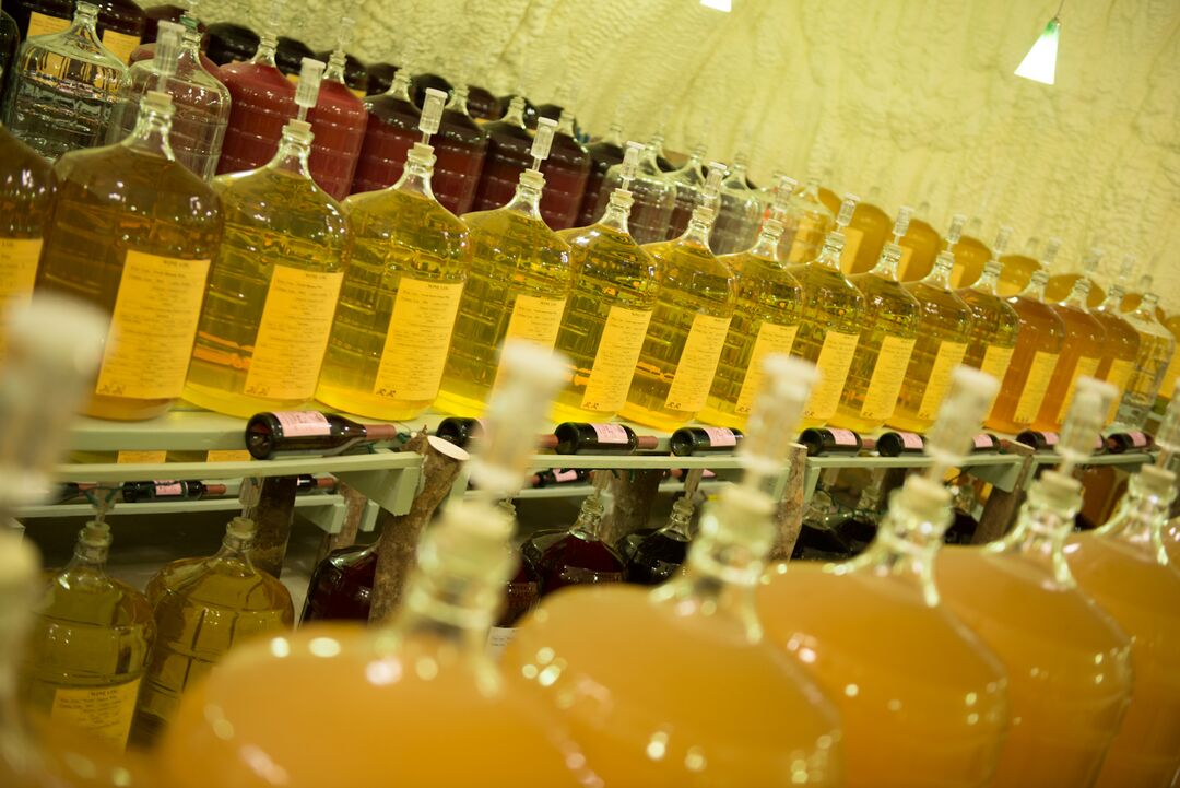 Bunker Hill Vineyard and Winery