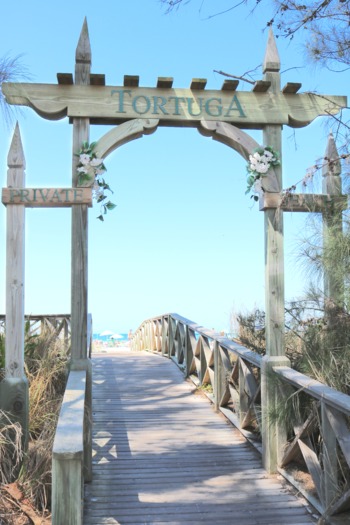 Tortuga Arch 2