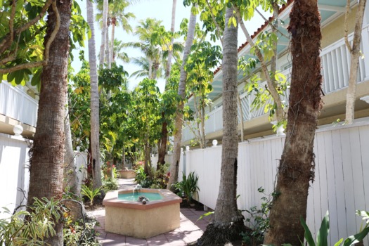 Tortuga Courtyard 2