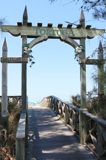 Tortuga Arch