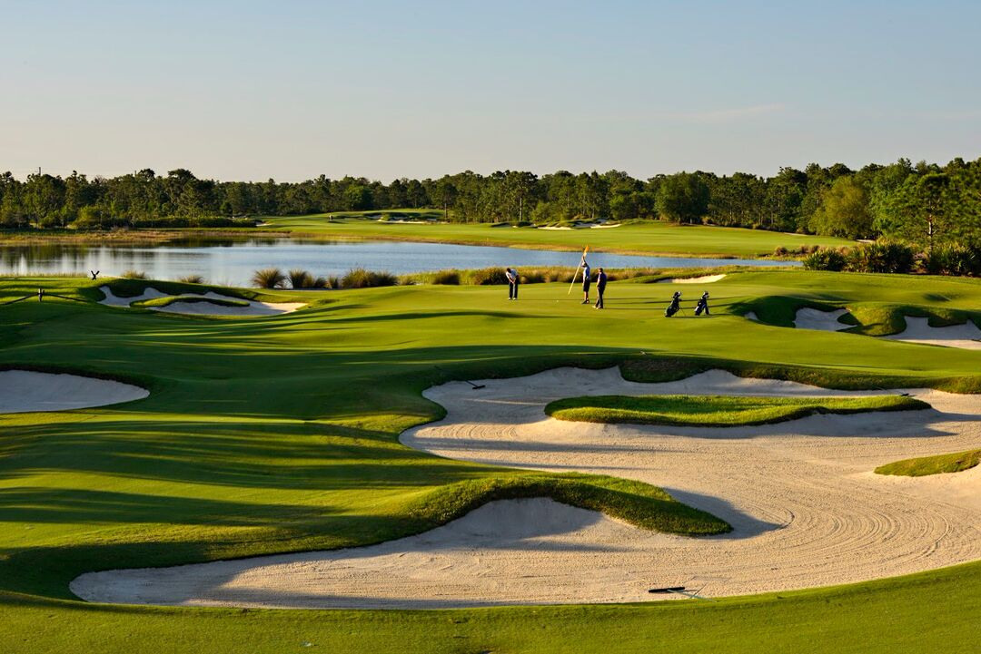 The Concession Golf Club