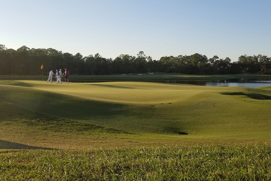 The Concession Golf Club