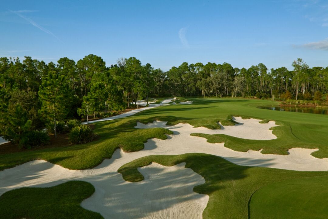 The Concession Golf Club 10