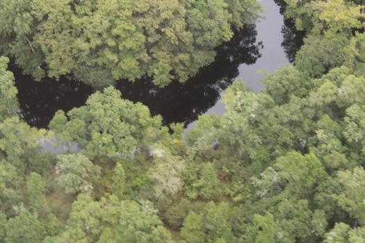 Brooksville Airport Aerial