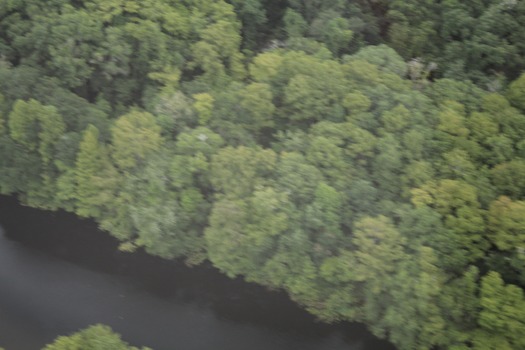 Brooksville Airport Aerial