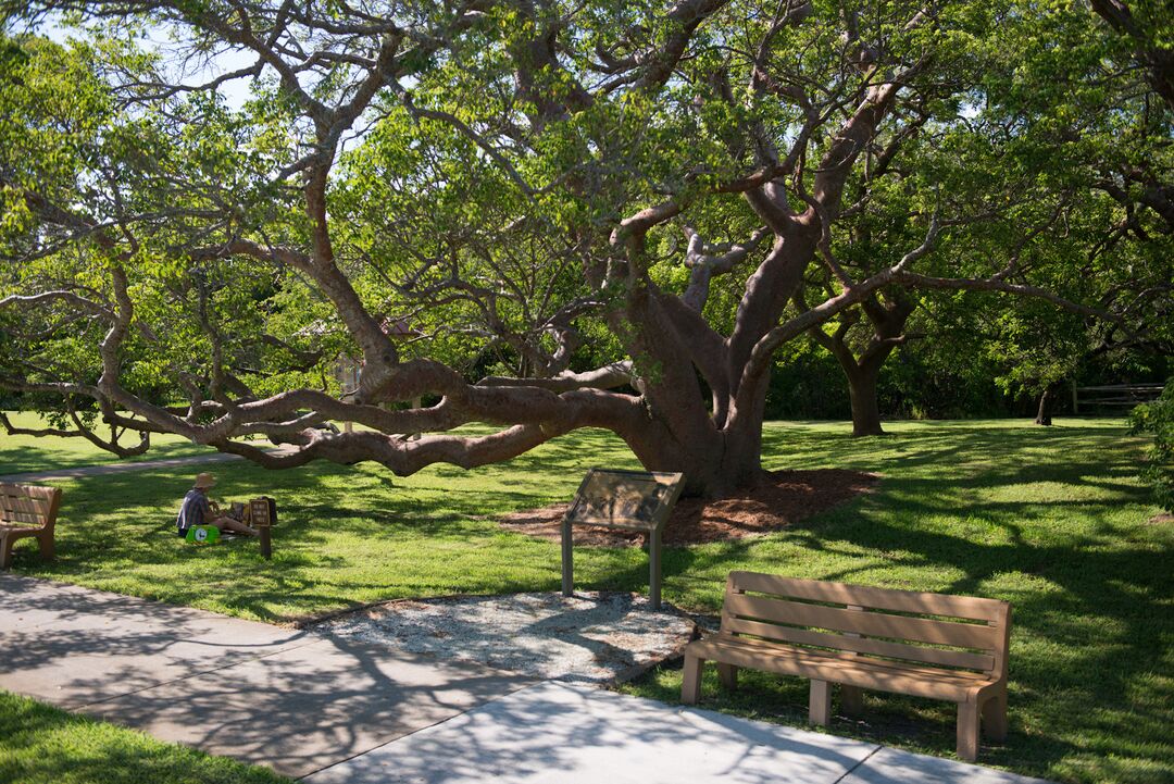 De Soto National Memorial Park