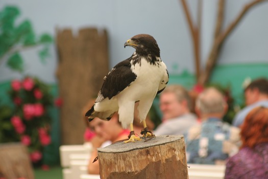 National Aviary