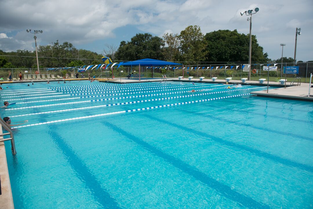 GT Bray Swimming