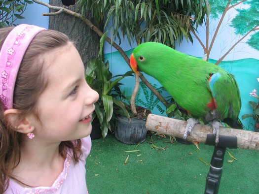 National Aviary