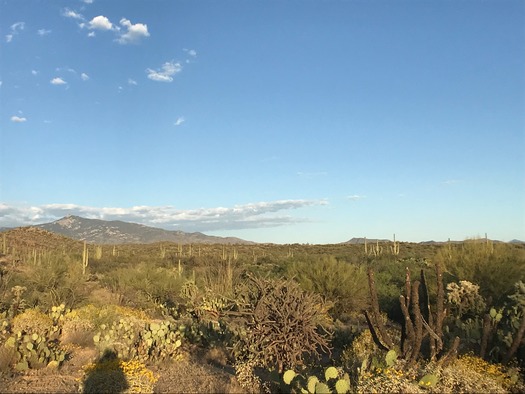 Trail Dust Jeep Tours