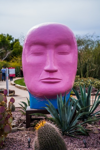 Desert Botanical Garden (14)