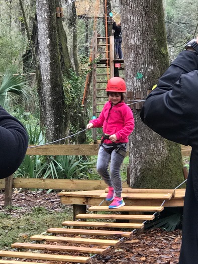 TreeUmph Little Ninja Course