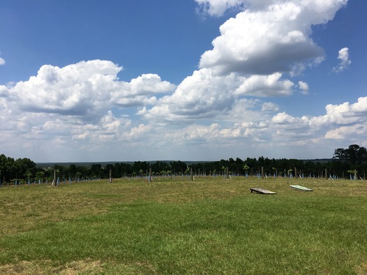Sparacia Winery