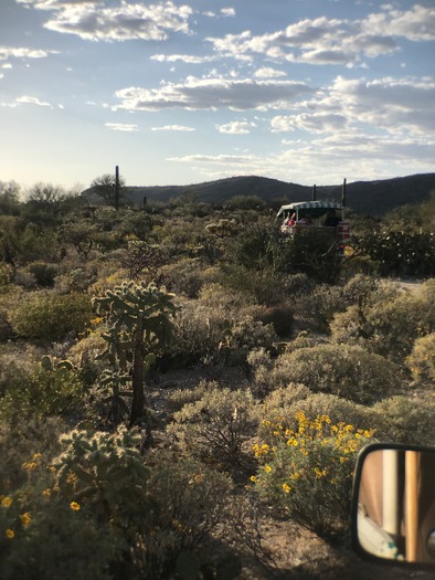 Trail Dust Jeep Tours