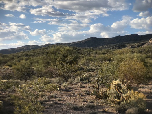 Trail Dust Jeep Tours