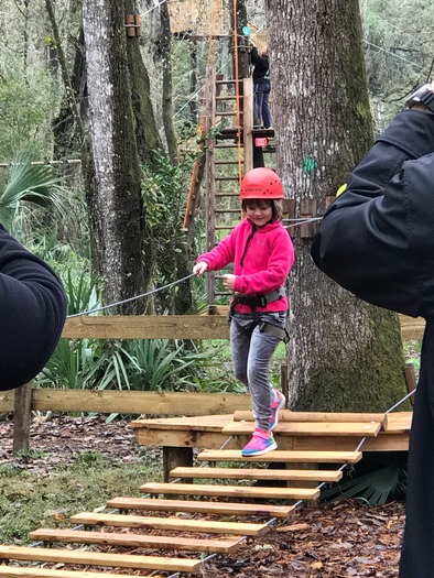 TreeUmph Little Ninja Course
