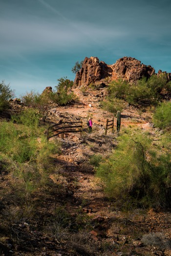 Phoenix Mountains Preserve (3)