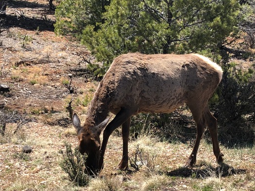 Grand Canyon National Park