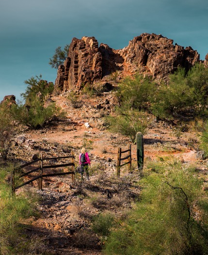 Phoenix Mountains Preserve (2)