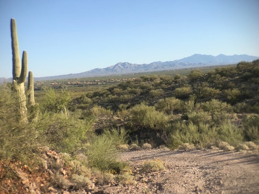 Trail Dust Jeep Tours