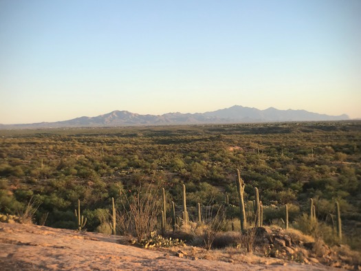 Trail Dust Jeep Tours