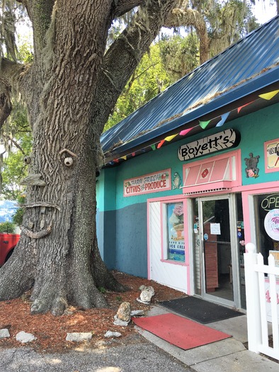 Boyette's Mural