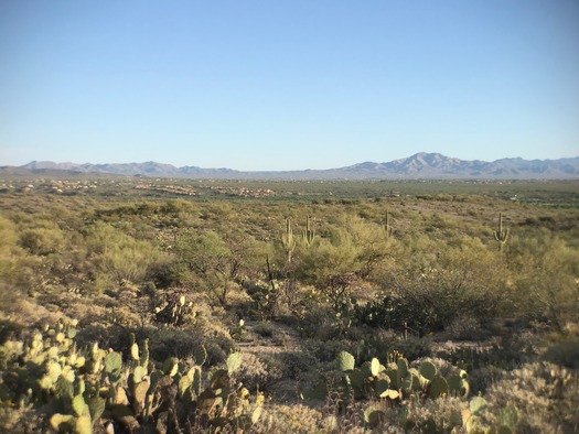 Trail Dust Jeep Tours