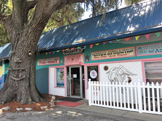 Boyette's Mural